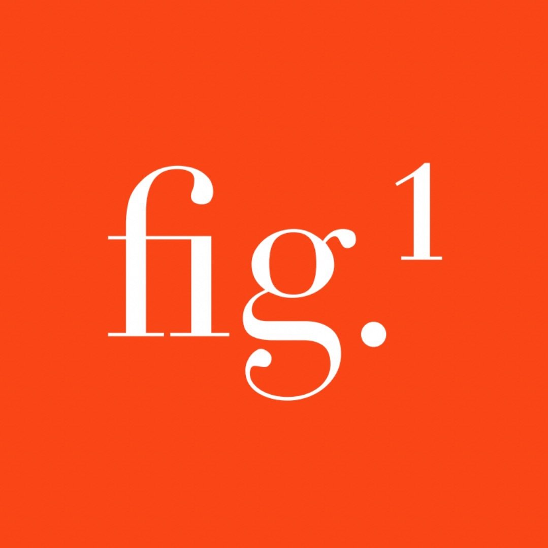 Fig.1 Avatar