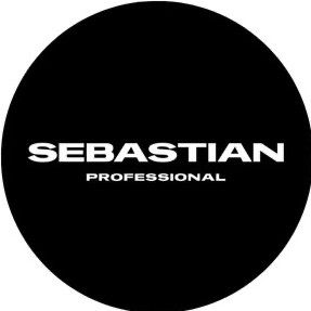 Sebastian Professional Logo