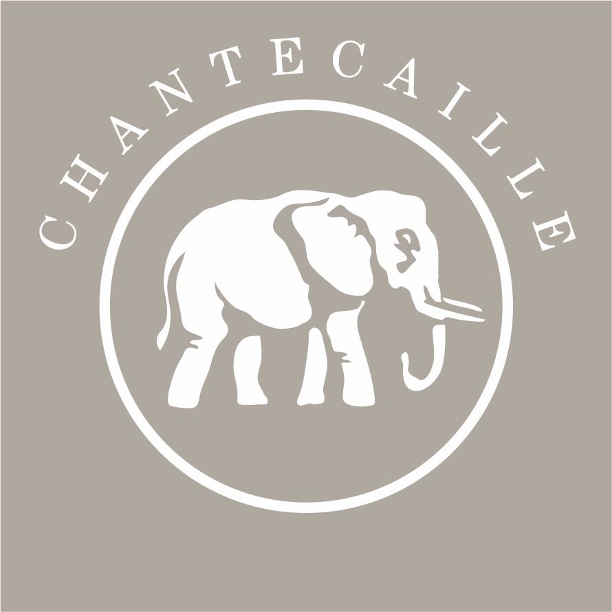 Chantecaille Avatar
