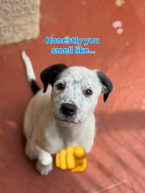 TikTok Post Thumbnail