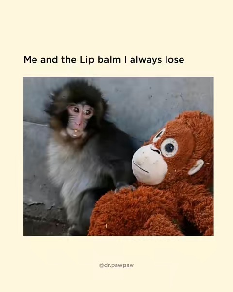 TikTok Post Thumbnail