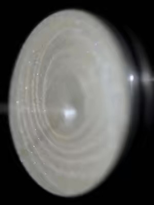 Post by ritueldefille