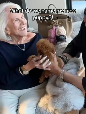 Post by peterthomasroth