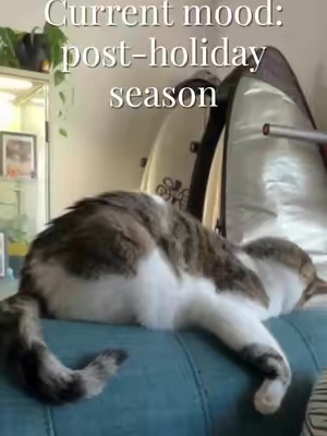 Post by saturdayskin