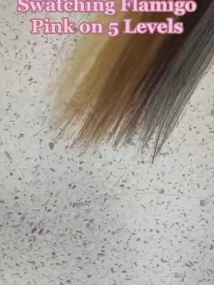 Post by punkyhaircolour