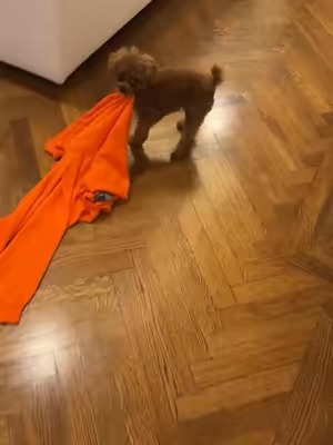 Post by peterthomasroth