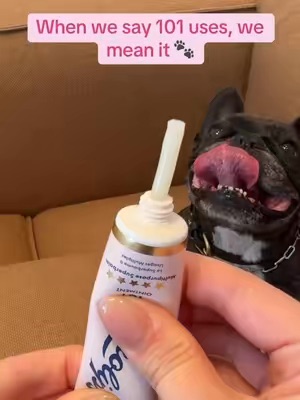 Related Post Thumbnail