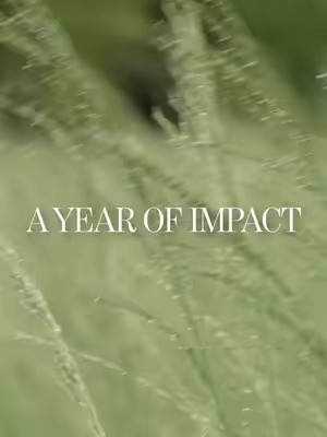 Post by chantecaille