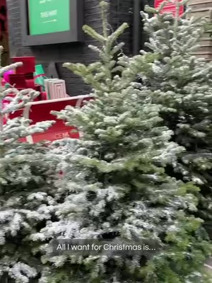 Post by officialmedik8