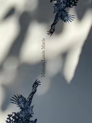 Post by maisonlouismarie