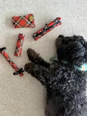 Post by stilacosmetics