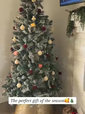 TikTok Post Thumbnail