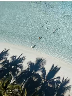 TikTok Post Thumbnail