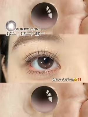 Related Post Thumbnail