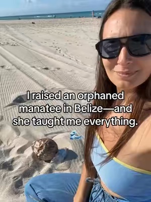 Top post by Miami Beach Bum