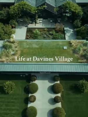 Post by davinesnorthamerica