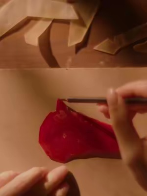 TikTok Post Thumbnail