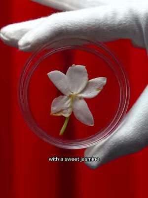 TikTok Post Thumbnail